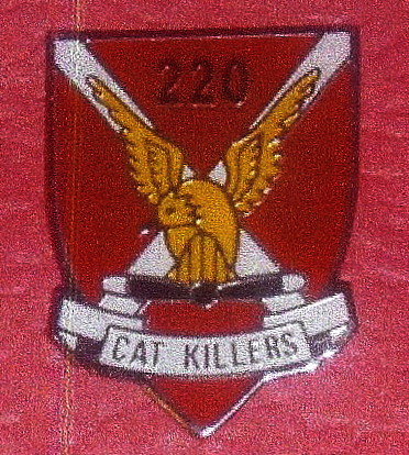 Cat Killer Pin, courtesy Jerry DiGrezio, 1970-71