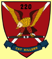 The Cat Killers Patch, 220th Avn Co