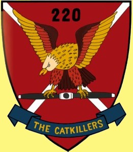 The Catkillers Patch, 220th Avn Co