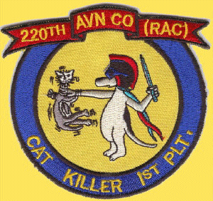 1st PLT DMZ CAT KILLERS patch 1