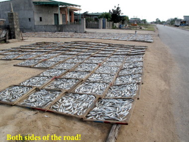 Dried fish anyone?