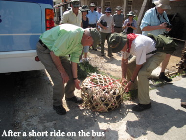 Vietnam Battlefield Tours, visit to Bru Montagnard Village with a basket of five young pigs purchased at a local market