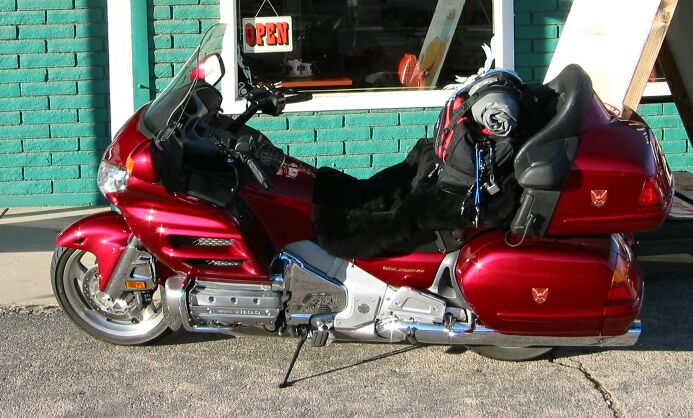 Don Ricks' GL1800A