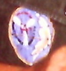 cropped view of patch cropped view of patch