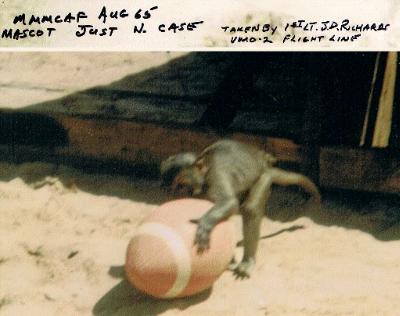 J. D. Richards photo: our squadron mascot, Just N Case J. D. Richards photo: our squadron mascot, Just N Case