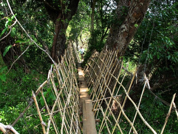 Suspension bridge