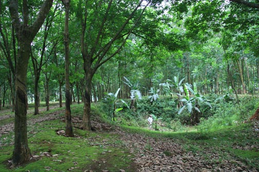 DMZ crater from B-52